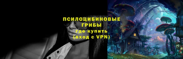 хмурый Аркадак
