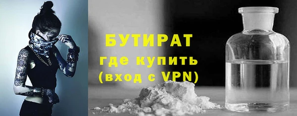 хмурый Аркадак