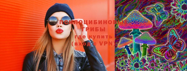 кокс Алзамай