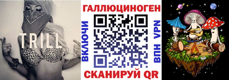 Купить закладки  Салехард  Псилоцибиновые грибы Psilocybine cubensis 